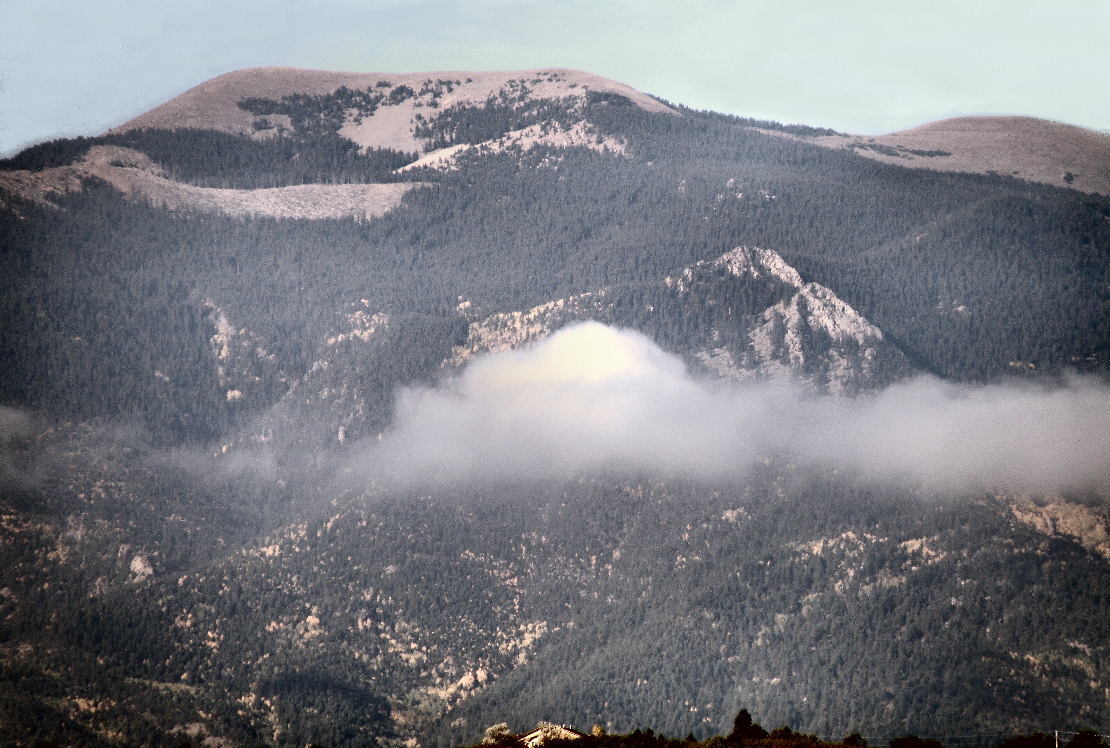 Greenhorn Peak Wilderness area in San Isabel National Forest, Colorado; 2008